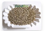 VIETNAM ARABICA COFFEE GRADE 1 – SCREEN 16 FULLY WASHED
