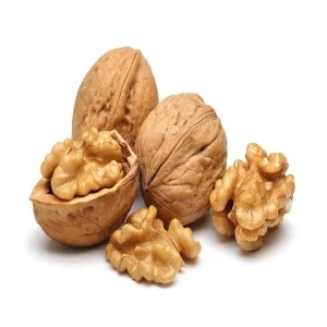 Factory supply walnut lowest price in shell walnuts kernels