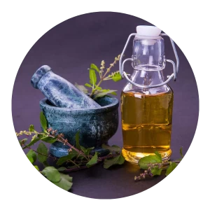 Indian Basil Oil (Ocimum basilicum Oil)