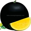 Black girl 2 Chinese yellow flesh watermelon seeds for planting﻿