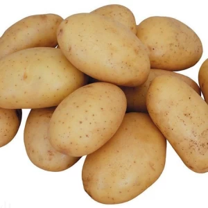 Fresh sweet potatoes high quality factory price professional export wholesalers fresh potato supplier