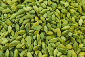 Factory price supply of green cardamom 100% natural importers of spices