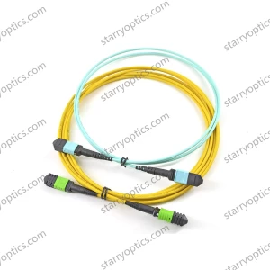 Standard MTP/MPO Patch Cord