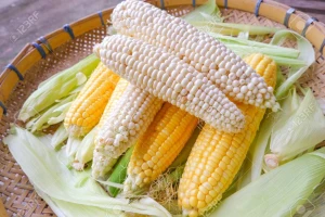 Non GMO Yellow Corn & White Corn Maize