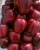 Import Flower Cow Apple from China
