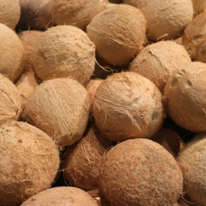 Cameroonian Semi-Husked Coconut Pulp Manufacturer-100% Natural Quality Fresh Grade a & Export