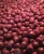 Import Flower Cow Apple from China