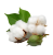 Import High Quality Organic Raw Cotton raw cotton fiber raw cotton from South Africa