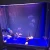 fish tank HD Aluminum alloy aquarium fish wide No border aquarium tank