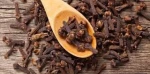 Buy Cloves Online from a Trusted International Supplier