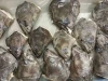 Frozen Greenland Halibut Fish and Head