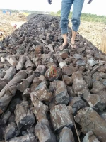 Coffee Charcoal