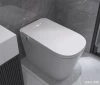 Intelligence Toilet
