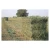 Import Cheap Top Quality Alfafa Hay for Animal Feeding Stuff Alfalfa ,hay from Philippines