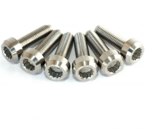 Chinese Manufacture supply high quality titanium bolt