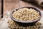 fresh Soya beans