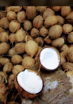 Husked coconut