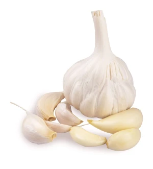Wholesale Fresh Garlic – Normal White & Pure White Varieties