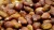 Import Chestnut for sale at wholesale price from South Africa