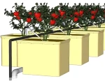 HG2-Fruit and Vegetables Grow Container