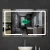 Import VGC LED Bathroom Mirror With Demister Rectangular Anti-Fog Mirrors from China
