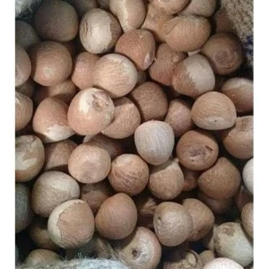 betel nut for sale