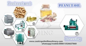 CE ISO certificate groundnut oil processing machine for starting a groundnut oil production business
