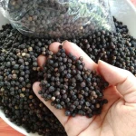High Quality Premium Grade Dried Black Pepper AD Drying Process Raw Processing Hot Spicy 25kg Quick Shipping