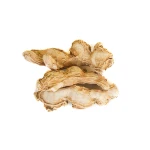 Premium quality dried ginger bulk supply natural spice export grade wholesale