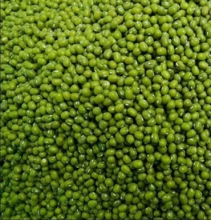 Wholesale Green Mung Beans `Ready For Export