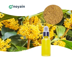 OSMANTHUS FRAGRANS FLOWER EXTRACT High Quality Natural Cosmetic Ingredient
