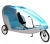 Import China Manufacture family touring Tricycle velo taxi from China