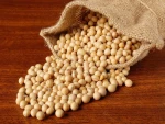 Soybean Non Gmo #2