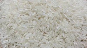 Thai Jasmine Rice (Pathumthani) (Prime Quality)