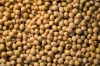 Soya beans (Non GMO)