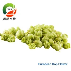 10% Flavone European Hop Flower Extract