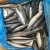 Import 100-150g New Arrival Whole Round Frozen Pacific Mackerel Fish from China