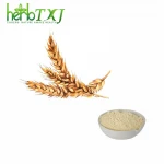 100 % Malted Barley Extract Liquid Extract
