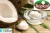 Import 100 % PURE AND NATURAL ORGANIC EXTRA VIRGIN COCONUT OIL from India