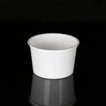 11oz eco-friendly white disposable plastic packaging cup bowls