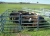 Import 1.8m High With 6 Bars, Rails Welded Smooth Cattle Panel, Livestock Panel For Animals from China