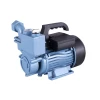 1WZB series self priming booster pump 0.55kw For House Used Clean Water Pump 0.75HP 1.0HP