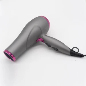 2 In 1 Hair Dryer Volumizer Profesional Standing Machine For Salon And Slide Switches Are Widely Used