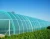 Import 200microns 5 years Greenhouse Film/Greenhouse Sheet plastic film from China