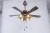 Import 2017 newest home appliance modern ceiling fan with lights from China