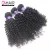 Import 2019 Can Be Dyed Cuticle Aligned Indian Human Hair Extention 100% Virgin Indian Kingky Curly Hair For Black Women from China