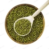 2020 New Crop Chinese Green Mung Beans