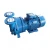 Import 2021 Electric Male Penis Processing Series Water Transfer Pump Liquid Ring Vacuum Pump from China