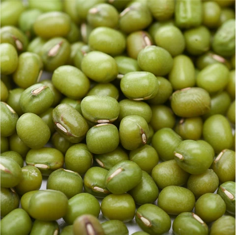 Export Grade Green Mung Beans Different Size Whole