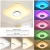 Import 24W Modern LED Smart Ceiling Light WiFi / APP Intelligent Control Ceiling lamp RGB Dimming from China